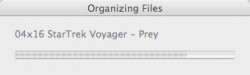 (03) Organizing Files