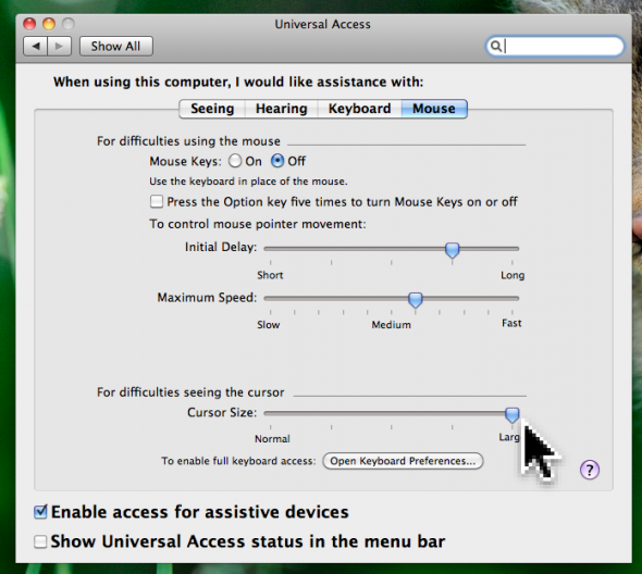 mouse_universal_access