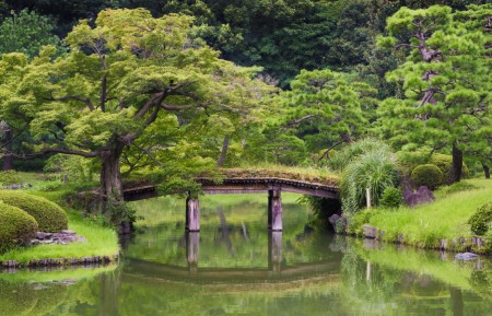 Moss-covered bridge at Rikugien