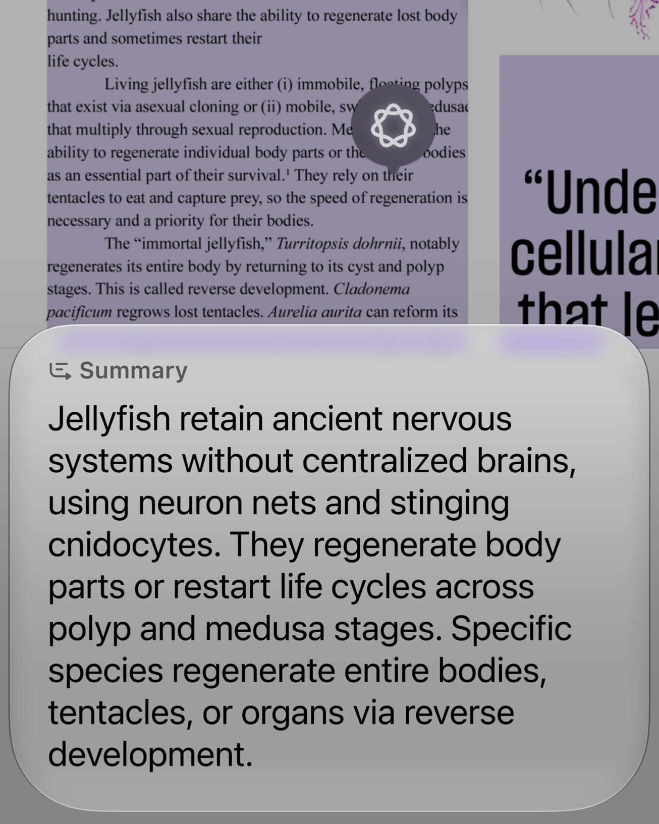 Siri AI reaguje na obsah zobrazený na displeji iPhonu