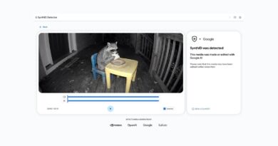 Web SynthID Detector, který u fotografie hlásí nalezený vodoznak